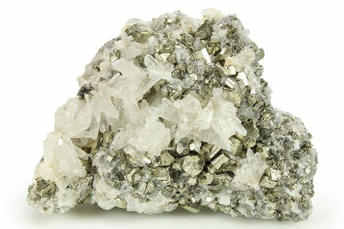 Gleaming Striated Pyrite Crystals on Quartz - Peru #276066